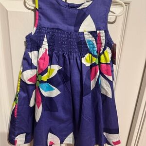 Carter's Blue and Pink Sleeveless Sundress Casual